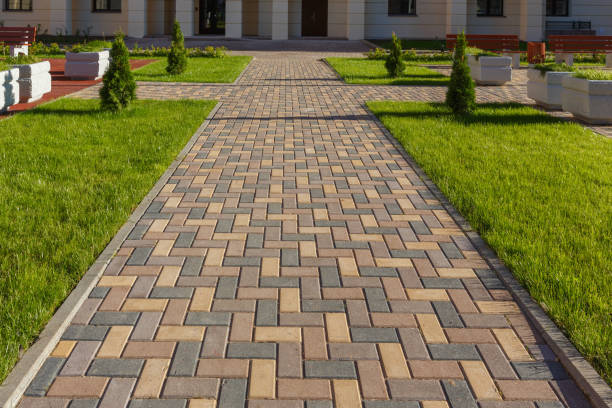 Best Driveway Paving Near Me  in Webberville, MI